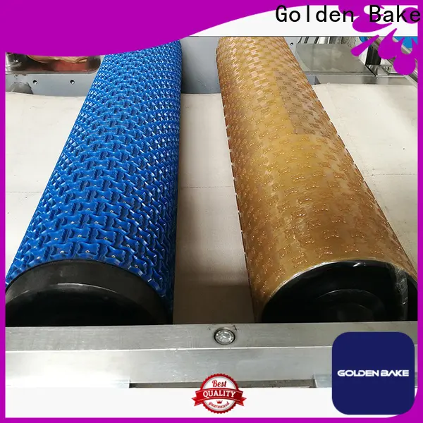 Golden Bake biscuit manufacturing machines manufacturer for forming the dough 1
