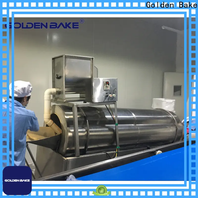 Golden Bake powder mixing machine vendor for potato hard biscuit line 1