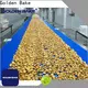 Golden Bake horizontal packing machine manufacturers for cooling biscuit1 1