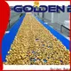 Golden Bake best biscuit making machine manufacturers for cooling biscuit 1