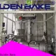 durable dosing system solution for food biscuit production1 1