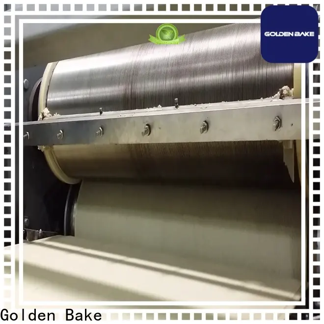 Golden Bake cookies machine manufacturers in india factory for dough processing 1