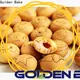 Golden Bake Golden Bake fully automatic biscuit making machines company 1
