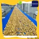 Golden Bake turning conveyor solution for cooling biscuit 1