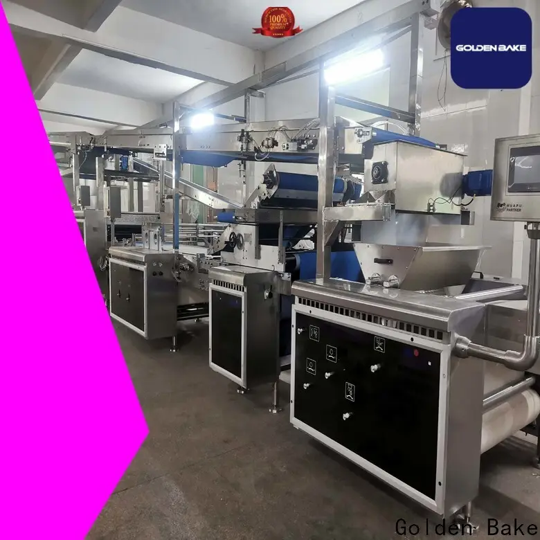Golden Bake best small scale biscuit manufacturing unit vendor for biscuit material forming 1
