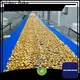 Golden Bake turning conveyor solution for normal cooling conveying 1