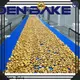 Golden Bake biscuit stacking machine vendor for cooling biscuit 1