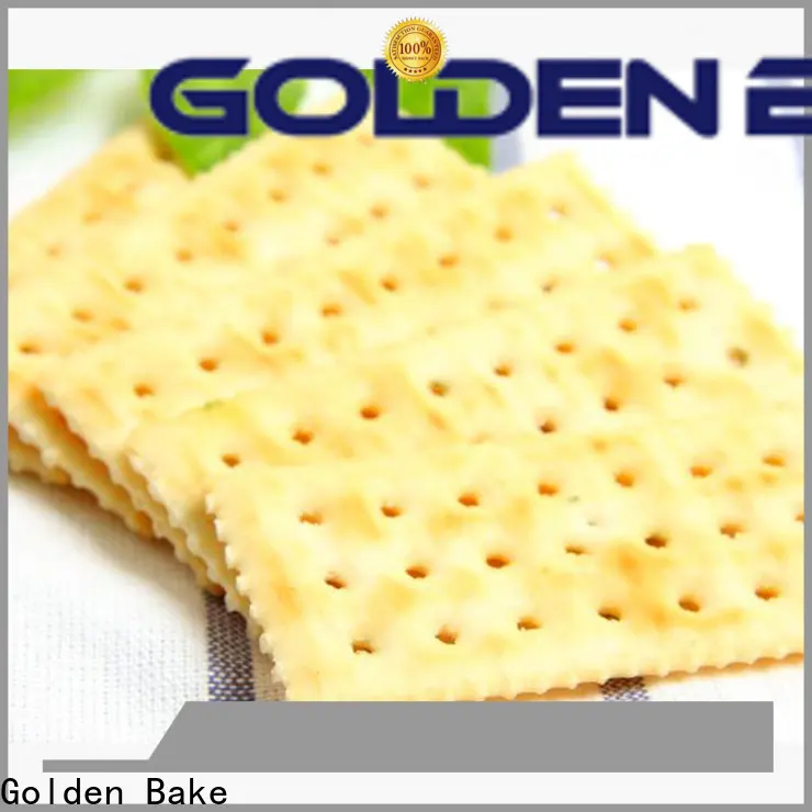 Golden Bake best vertical dough mixer company for soda biscuit making 1