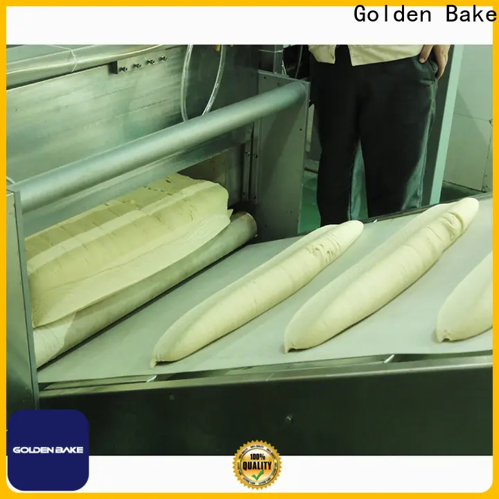 Golden Bake tilting machine manufacturer for biscuit material forming 1