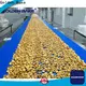 Golden Bake durable biscuit cooling conveyor company for cooling biscuit1 1