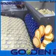 professional biscuit manufacturing process britannia solution for egg tart biscuit production 1