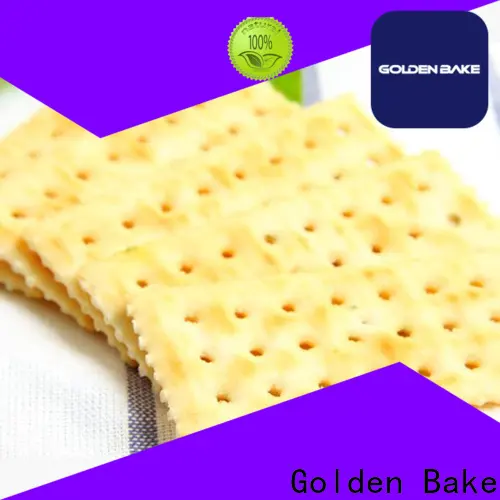 Golden Bake Golden Bake vertical dough mixer vendor for soda biscuit making 1