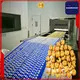 top rated biscuit factory machine price vendor for letter biscuit production 1