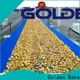 Golden Bake biscuit making machine suppliers for normal cooling conveying2 1