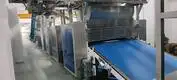 Golden Bake biscuit processing machinery factory for dough processing 2