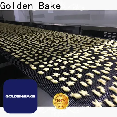 best biscuit manufacturing plant suppliers factory for puffed food making 1