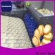 Golden Bake dough forming equipment suppliers for egg tart biscuit making 1
