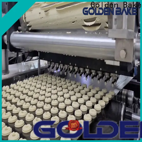 Golden Bake cookies manufacturing machines supply for cookies manufacturing 1