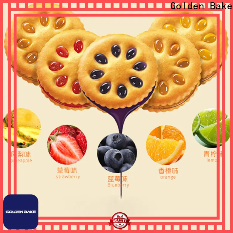 durable biscuit manufacturing technology company 1