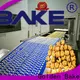 Golden Bake biscuit making machinery supply for letter biscuit production 1