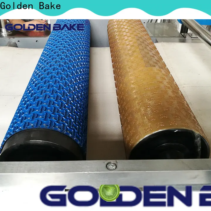 Golden Bake biscuits manufacturing machines vendor for biscuit surface pattern 1