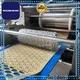 Golden Bake top small scale biscuit making machine solution for small scale biscuit production 1