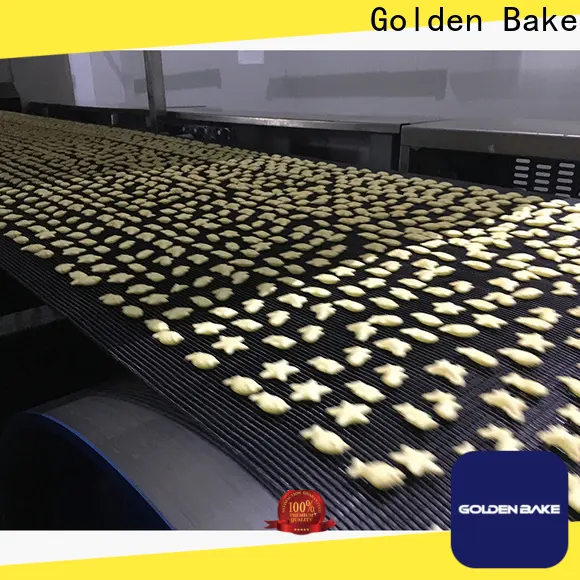 Golden Bake excellent biscuit manufacturing plant factory for puffed food making 1