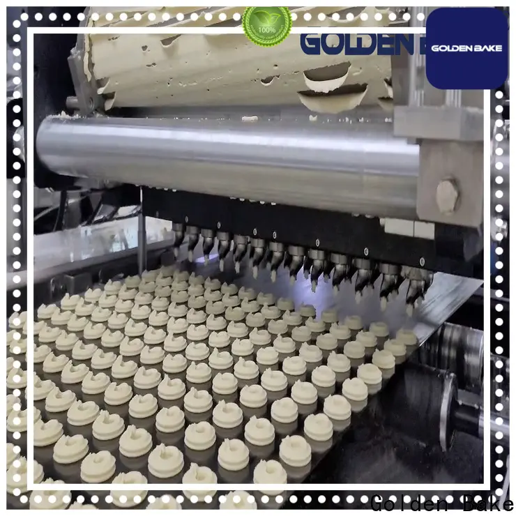 Golden Bake professional automatic cookie machine company for cookies manufacturing 1