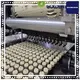Golden Bake professional automatic cookie machine company for cookies manufacturing 1