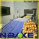 Golden Bake biscuit production plant company for letter biscuit making 1