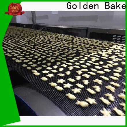 Golden Bake bakery cookie machine company for gold fish biscuit production2 1