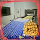 Golden Bake best manufacturing of biscuits solution for letter biscuit making 1