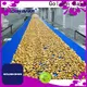 Golden Bake biscuit manufacturing process vendor for cooling biscuit 1