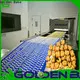 Golden Bake excellent biscuit packing machine supply for letter biscuit production 1