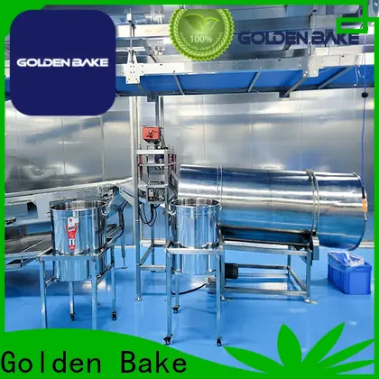 Golden Bake small powder mixing machine for sale for potato hard biscuit line 1
