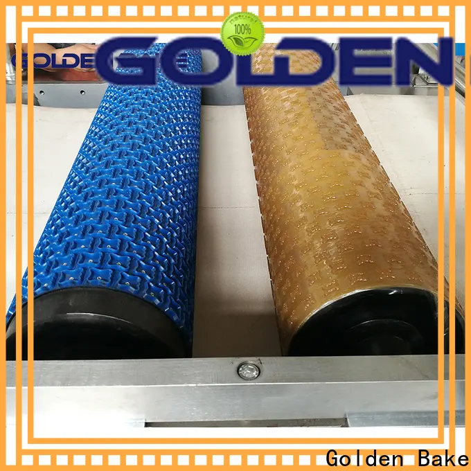 Golden Bake biscuit machines vendor for hollow panda biscuit1 1