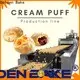 Golden Bake professional dough kneading machine 5kg price for sponge and dough process for mixing biscuit material18 1