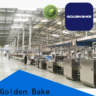 Golden Bake dough roller machine for home manufacturer for biscuit making 1