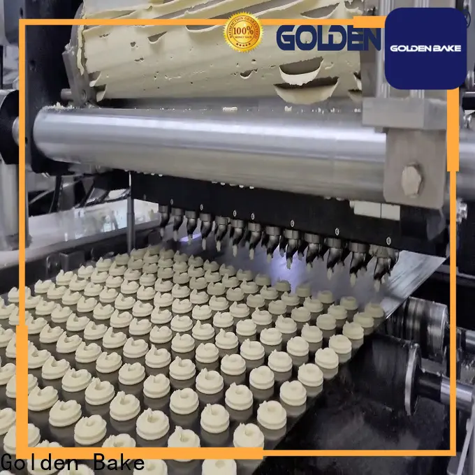 professional cookies production suppliers for cookies production 1