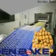 Golden Bake dough forming equipment manufacturers for letter biscuit making 1