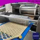 Golden Bake biscuit production line factory for biscuit production 1
