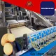 Golden Bake cracker making machine vendor for potato crisp cracker making 1