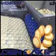 Golden Bake dough ball making machine factory for egg tart biscuit production 1