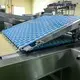 Biscuit Moulding Machine - - Golden Bake 4