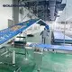 Chocolate Cooling Machine L/C - - Golden Bake 4