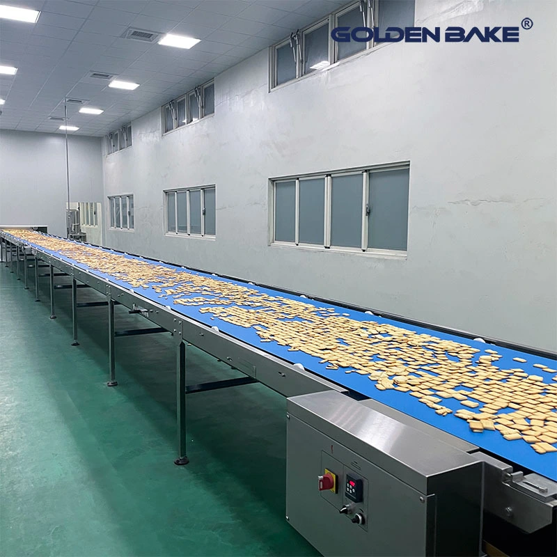 Straight type cooling conveyor 1