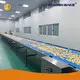 Dough Cutting Machine Bakery No by Golden Bake 1