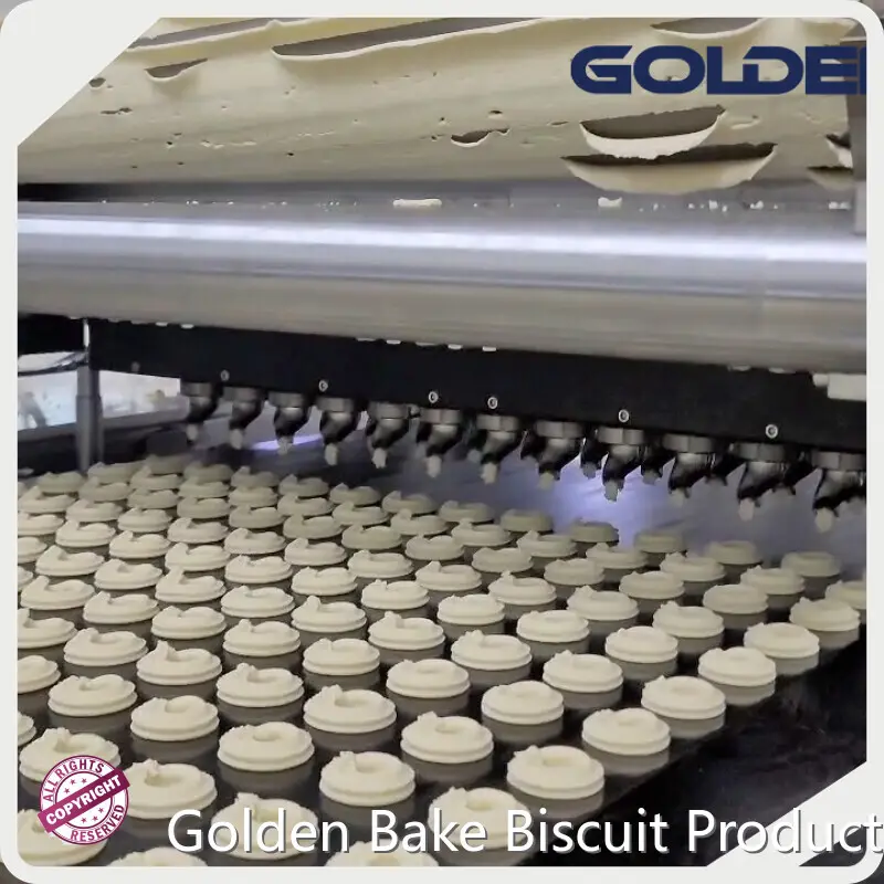 Biscuit Dough Piece Forming Machine L/C by Golden Bake 1