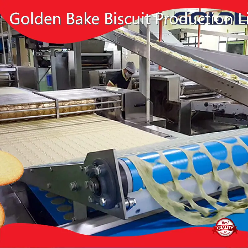 Cookie Production Equipment by Golden Bake 1