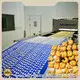 Wafer Stick Roll Machine by Golden Bake 1